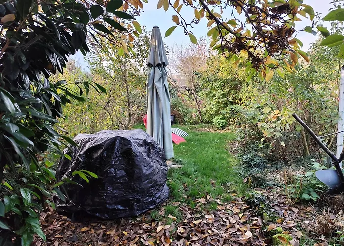 Speyer Vintage Stil Hundefreundlich *